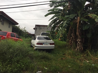 Lot for sale Greenheights Newtown Subd Mayamot Antipolo 240 SQM on Carousell