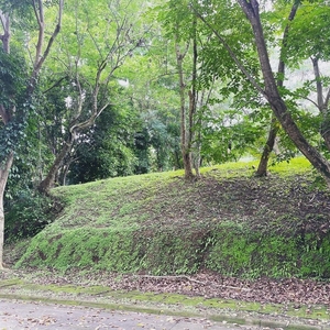 LOT FOR SALE in Ayala Greenfield Estates on Carousell