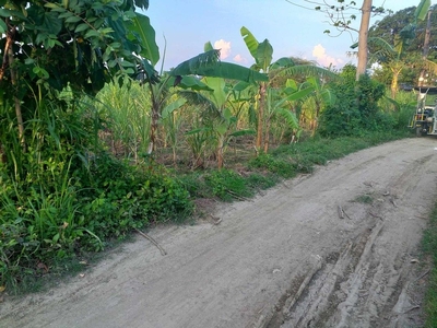 Lot For Sale in Calatagan Batangas Resedential Farmlot on Carousell