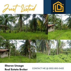Lot for sale in Tagum City on Carousell