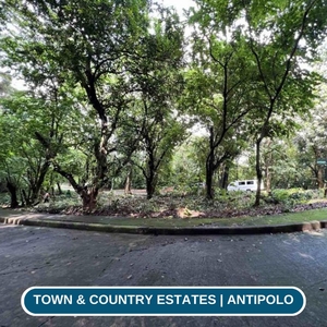 LOT FOR SALE IN TOWN AND COUNTRY ESTATES ANTIPOLO CITY RIZAL on Carousell