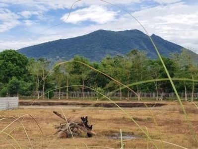 Lot for sale Lacmit arayat on Carousell