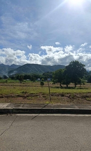 LOT FOR SALE RUSH in Greenpeak Heights Baras Rizal on Carousell