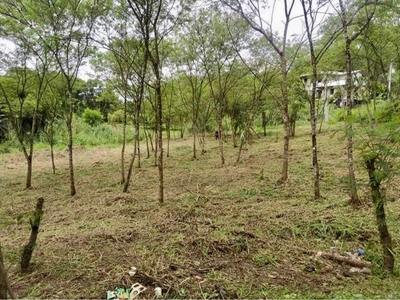 Resale lot for sale in Sun Valley Estates Antipolo City on Carousell