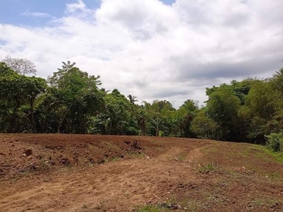 Residential farm lot for sale near Tagaytay Nasugbu road on Carousell