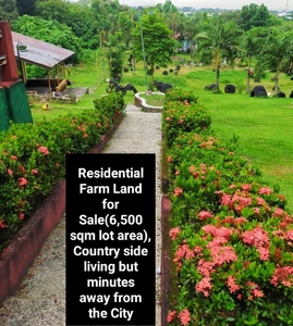 Residential Farm property for sale (6500sqm) on Carousell