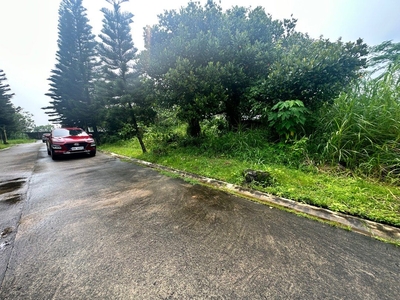 Tagaytay lot for sale 400 sqrm on Carousell