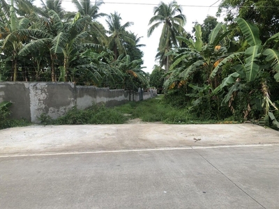 Titled Lot For Sale Along Prov'l. Near Alfonso Cavite on Carousell