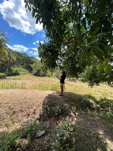 Titled Subdivided farm lot for sale HULUGAN!! Rush!! near pakiling river Norzagaray Bulacan on Carousell