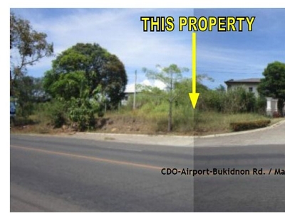Vacant Lot for Sale in Fresno Parkview Subd. CDO Misamis Oriental on Carousell