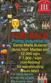 Land for sale in Santa Maria, Bulacan