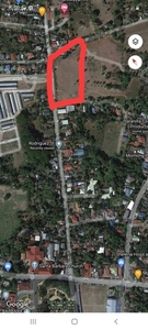 10000sqmtrs/ 1hectare in Rodriquez Street Poblacion Zone II, Sta. Barbara