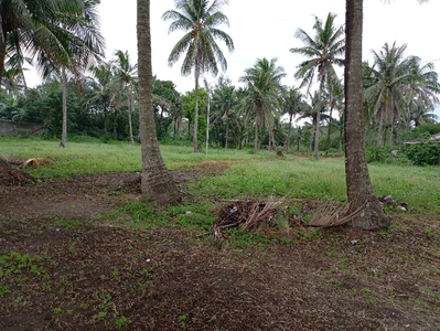 Lot For Sale In Infanta, Quezon