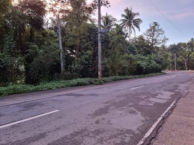 Lot For Sale In Kalyaat, Lucban