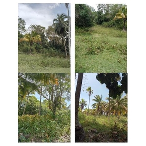 6.8 Hectares of Land For Sale in Island Garden City of Samal, Davao del Norte