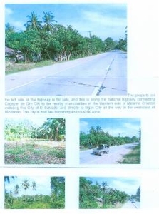 A parcel of Raw Land for Sale For Sale Philippines