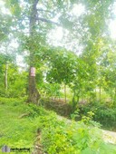 1.7 HECTARES TITLED FARM LOT FOR SALE IN DRT BULACAN