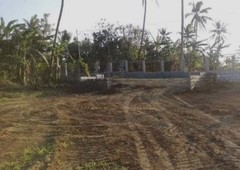 1st 10 lots promo price residential farm lot for sale near tagaytay
