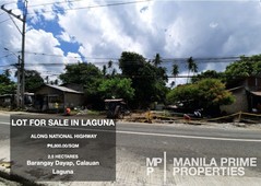 Land for sale in Calauan, Laguna