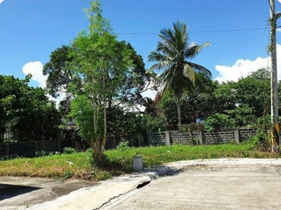 Lot For Sale In Baan Km 3, Butuan