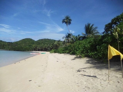 Lot For Sale In Old Busuanga, Busuanga