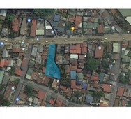LOT FOR SALE! (RESIDENTIAL LOT ALONG NATIONAL ROAD)