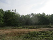 P 14,500,000 Land for sale (negotiable). Fruit bearing trees. Good for residential, agricultural and had a mountain view
