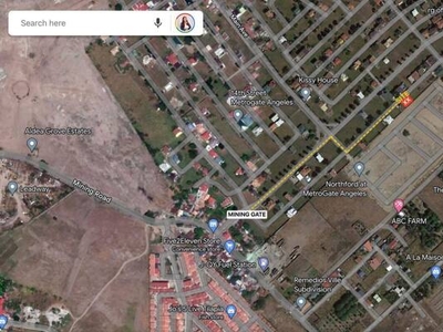 Lot For Sale In Capaya, Angeles