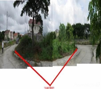 451 Sqm Residential Land/lot For Sale Oton