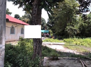 Lot For Rent In Central, Tarlac