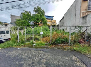 Lot For Rent In Don Bosco, Paranaque