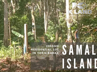 Lot For Sale In Toril, Island Of Garden Samal, Samal