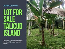 Talicud Farm Lot for sale
