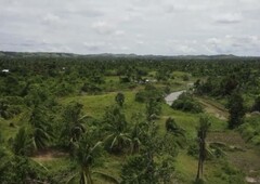 Titled 2.5 hectares Farm Lot for 2.3M!