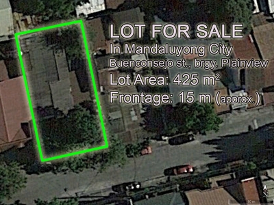 425 m² Residential Lot Plainview Mandaluyong