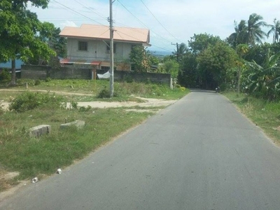 Rush..Rush..Lot Only For Sale in Linao, Talisay..