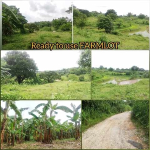 Lot For Sale In Matictic, Norzagaray
