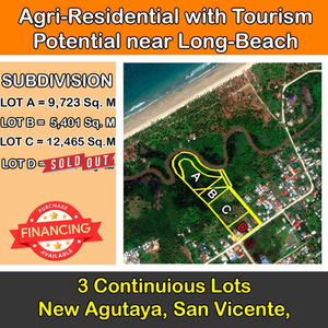 Lot For Sale In New Agutaya, San Vicente