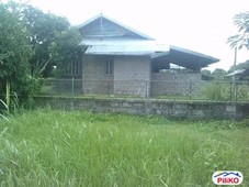 Agricultural Lot for sale in Concepcion