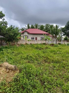 1,500 sq. meters Residential Farm Lot in Carcar City, Cebu for Sale