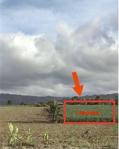 For Sale 1 Hectares Land Ideal For Housing Development, Manolo Fortich