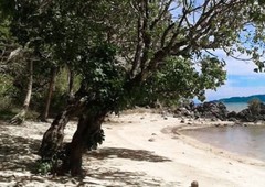 RUSH Island for Sale in PALAWAN 5M only! TITLED
