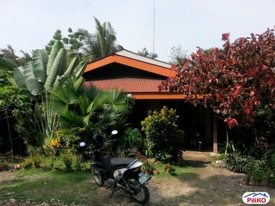 2 bedroom House and Lot for sale in Tagbilaran City
