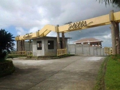 8 Adjacent lots with a total area of 3,956sqm for sale at Alfonso, Cavite