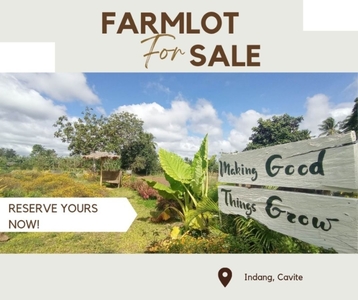 Affordable Farm Residential Lot For Sale in Alfonso, Cavite - 500 sqm