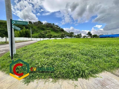 Lot For Sale In Dolores, Porac