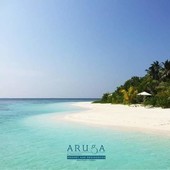 Luxury Condo for Sale in Cebu | Beachfront Property