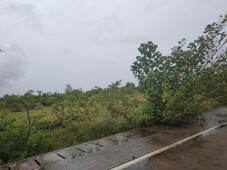 COMMERCIAL LOT IN PANGLAO,BOHOL