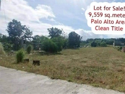 Lot For Sale In Palo-alto, Calamba