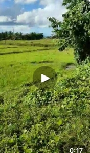 Lot For Sale In Purok Iv, Pavia